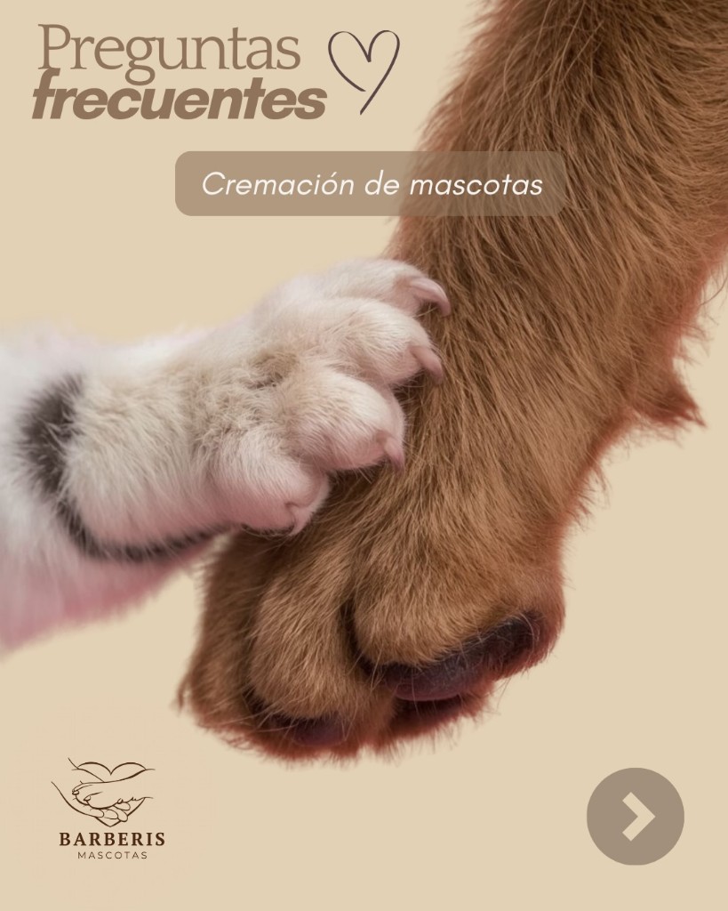 Preguntas frecuentes sobre cremación de mascotas