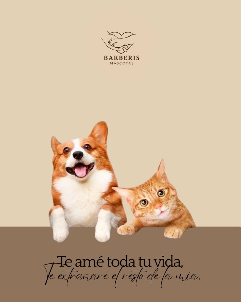 Cremación de mascotas Barberis Mascotas, homenaje y acompañamiento respetuoso
